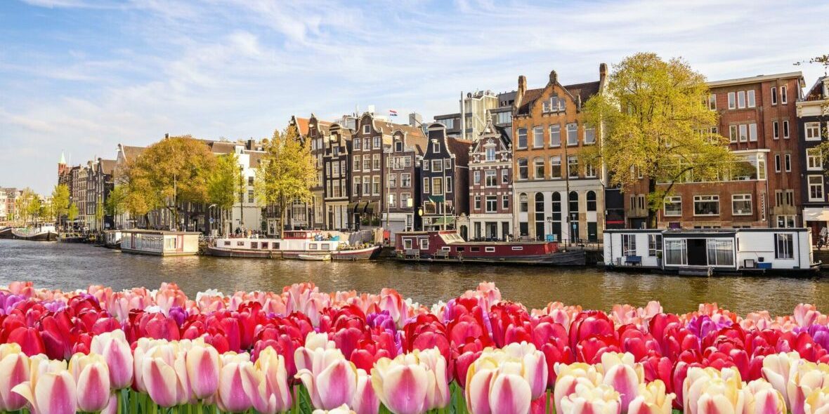 Large-Amsterdam-city-skyline-at-canal-waterfront-with-spring-tulip-flower-Amsterdam-Netherlands-918640178-e1700496568536
