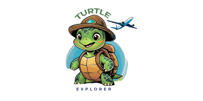 turtle explorer-lg